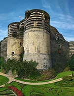Book the best tickets for Chateau D'angers - Chateau D'angers - From 31 December 2020 to 31 December 2023