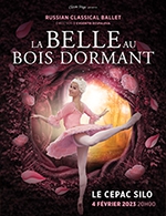 Book the best tickets for La Belle Au Bois Dormant - Le Cepac Silo -  February 4, 2023