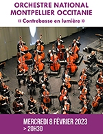 Book the best tickets for Contrebasse En Lumiere - Theatre Municipal Jean Alary -  February 8, 2023