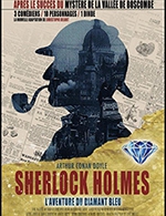 Réservez les meilleures places pour Sherlock Holmes - La Merise - Le 10 févr. 2023
