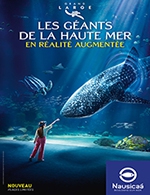 Book the best tickets for Nausicaa - Haute Saison 2023 - Nausicaa - From July 1, 2023 to August 31, 2023