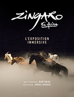 Book the best tickets for Zingaro Ex Anima - Paris Expo - Hall 5 - From December 14, 2022 to February 12, 2023