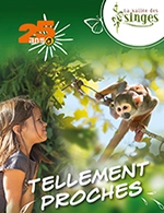 Book the best tickets for La Vallee Des Singes - La Vallee Des Singes - From February 4, 2023 to November 12, 2023