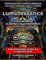 Book the best tickets for Luminiscence - Le Secret Des Cathédrales - Cathedrale Saint Andre - From October 13, 2023 to January 6, 2024