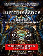 LUMINISCENCE - LE SECRET DES CATHÉDRALES 