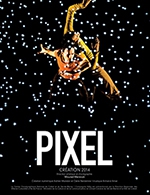 Réservez les meilleures places pour Pixel - La Coupole - Le 2 février 2024