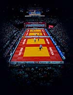 Book the best tickets for Paris Grand Slam 2024 - Accor Arena - From February 2, 2024 to February 4, 2024