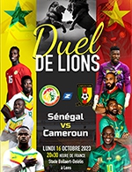 Book the best tickets for Senegal / Cameroun - Stade Bollaert-delelis -  October 16, 2023