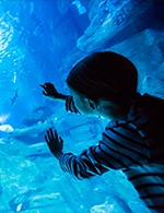 Réservez les meilleures places pour Aquarium De Paris - Aquarium De Paris - Du 1 janvier 2024 au 31 décembre 2024